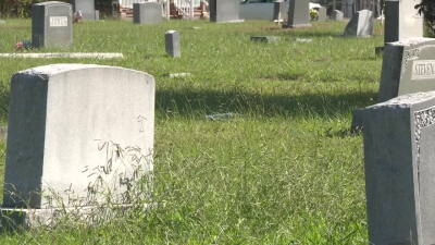 Pleasant Shade Cemetery graves