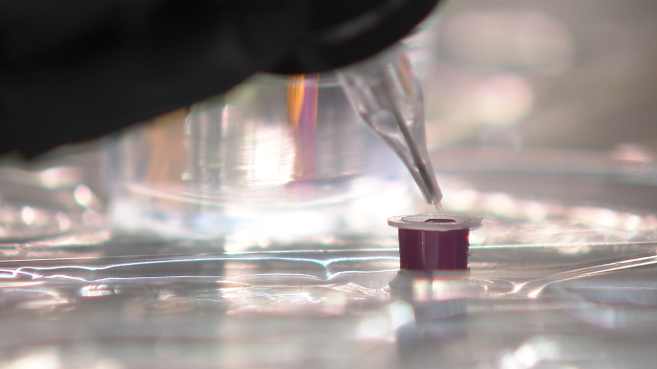 Magic Ink: The tattoo that can be turned on and off