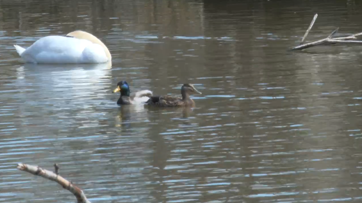 Screenshot 2026-03-27 at 6.52.39 PM.png