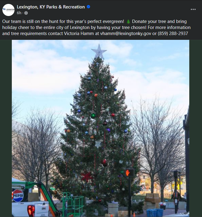 LPR Christmas tree post.png