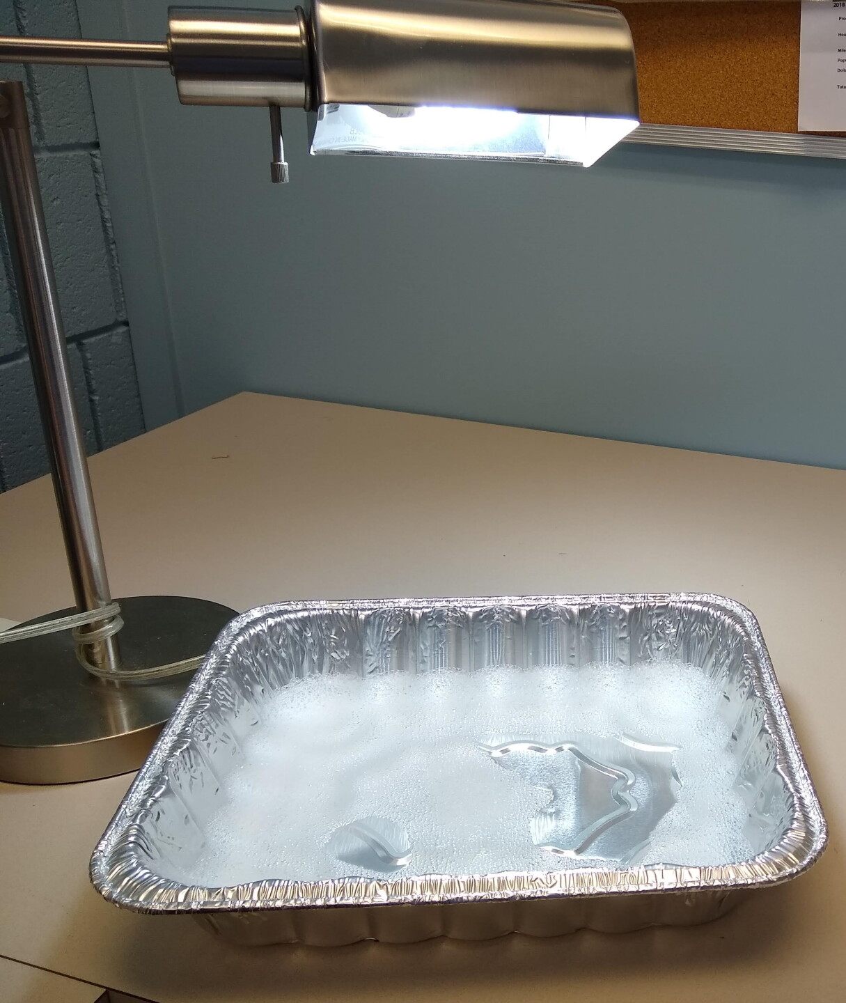 BMSB trap indoors DML.jpg