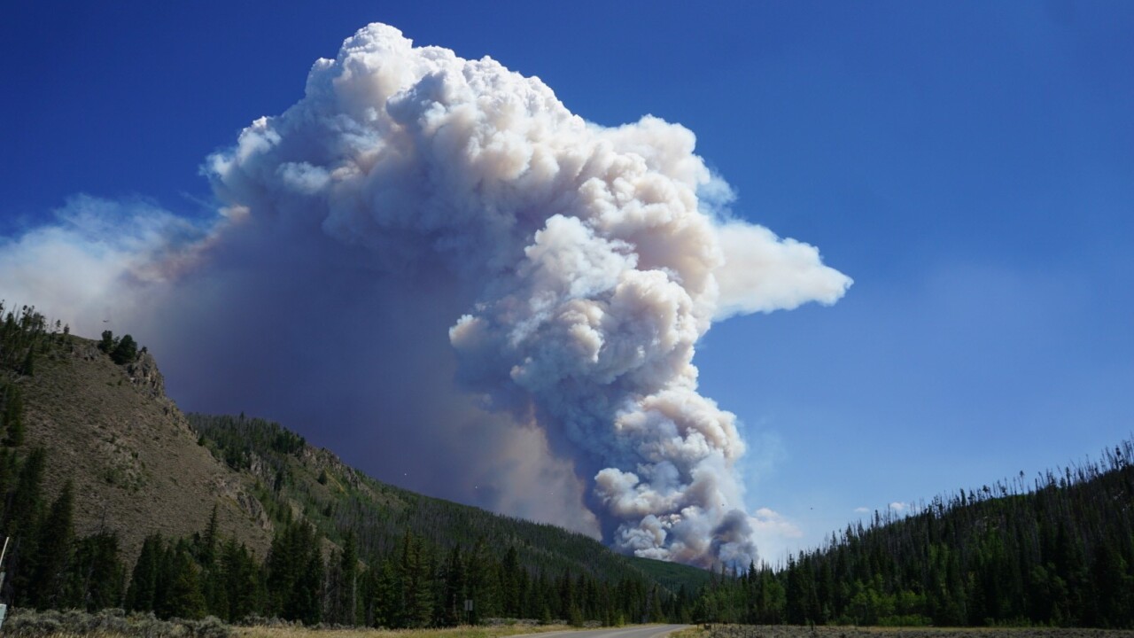smoke cloud saturday williams fork fire