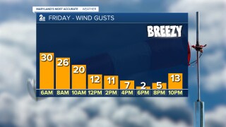 GUSTS.jpg