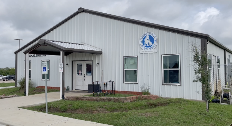Texas pet owners urged to protect animals as new world screwworm cases rise in the state