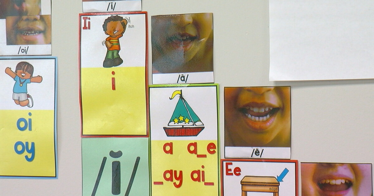'This is against the law': Buffalo Schools take back speech therapists - Vimarsana News