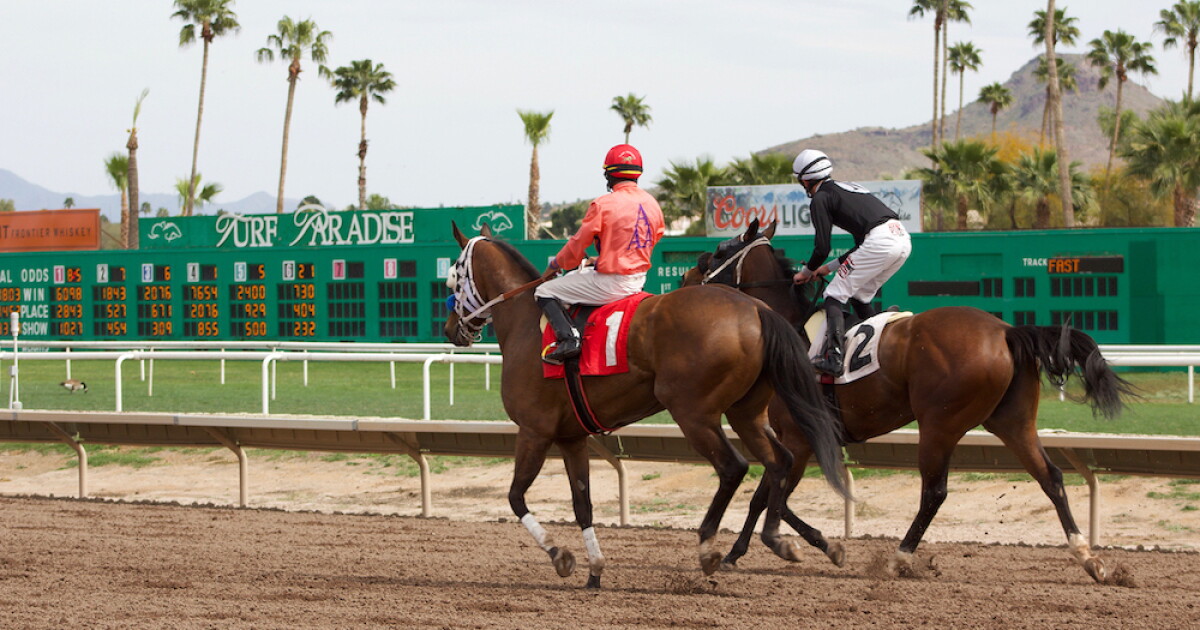 Turf Paradise prepares for new race season amid uncertainty about track's future - Vimarsana News