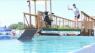 Dogs make a splash with dock diving