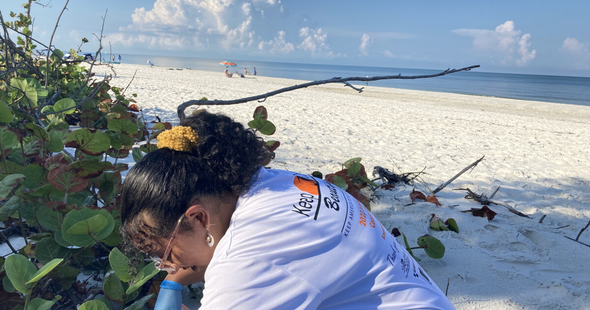 NAPLES | Clam Pass Beach sees 180 volunteers for International Coastal Cleanup - Vimarsana News