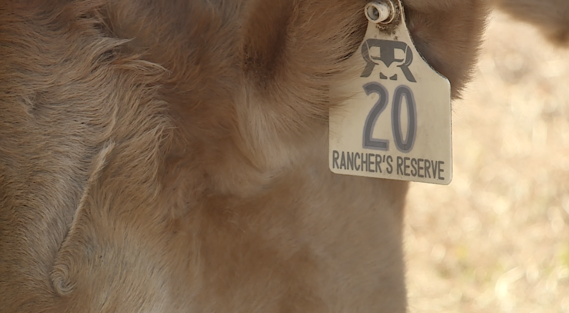 Screenshot 2026-03-04 at 1.14.26 PM.png