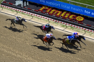 Preakness Stakes Horse Racing