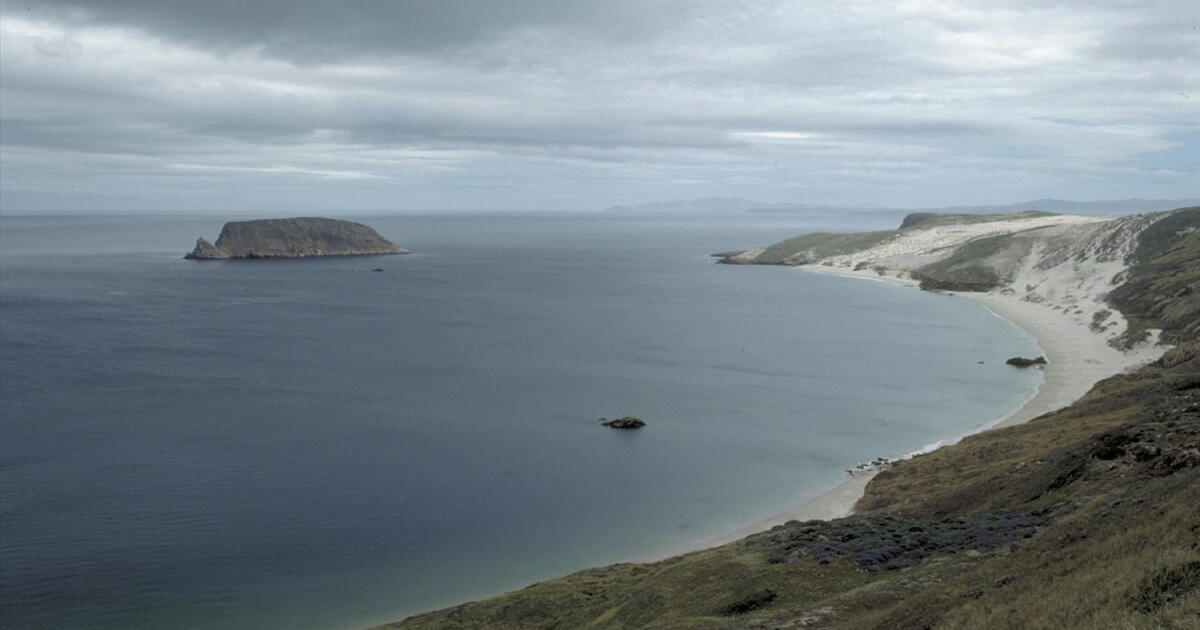 14 rescued after charter boat hits rock and sinks near Santa Cruz Island - Vimarsana News