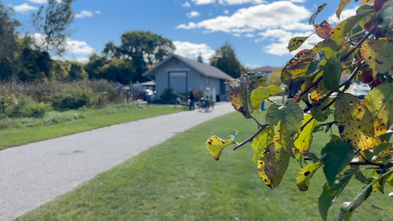 FALL 4.jpg