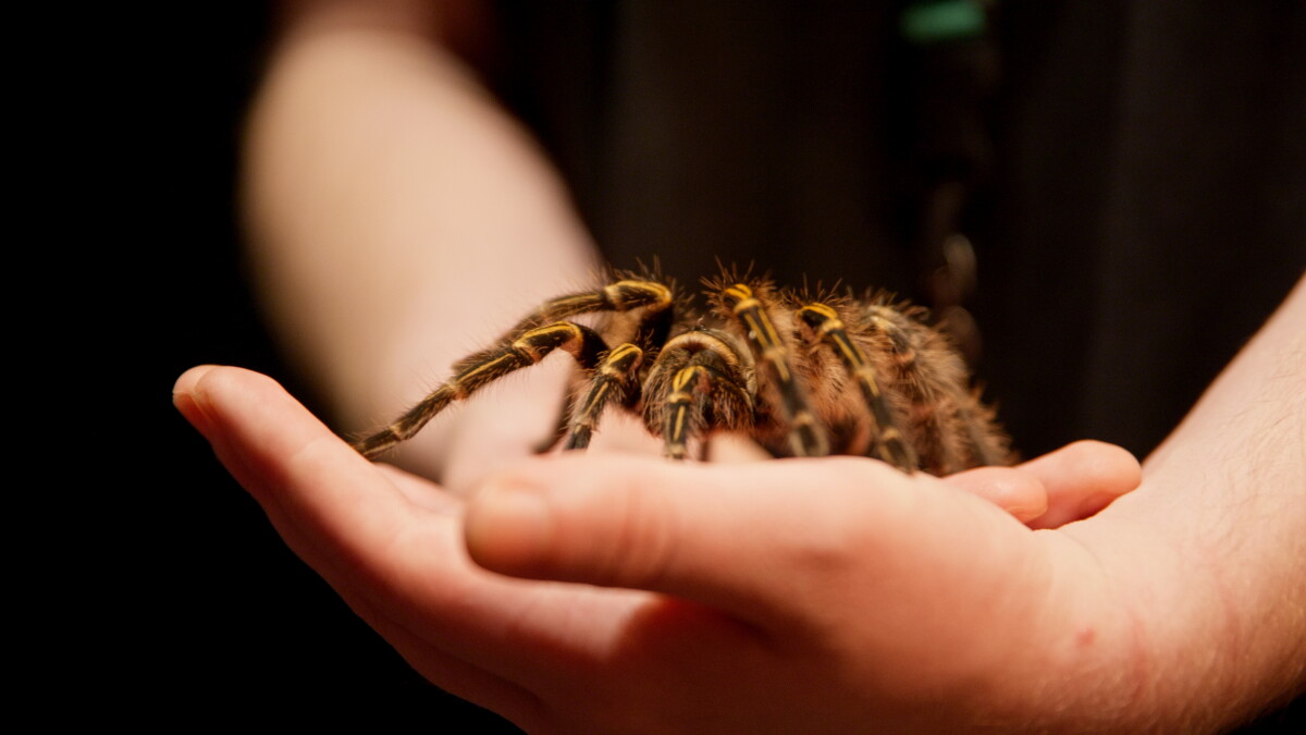 Up close look at the Virginia Aquarium's newest exhibit, 'Survival of the Slowest"
