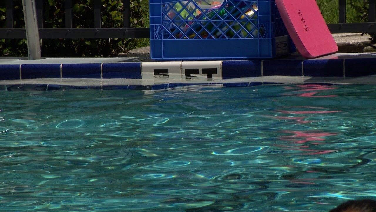 Seal Swim School pool