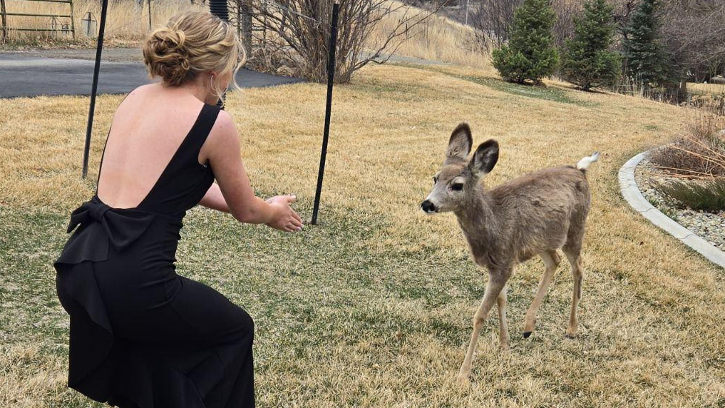 Lauren Anderson and Daisy