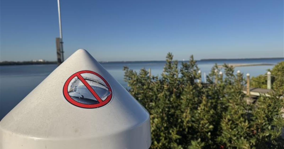 Cruise Ship Terminal near the Skyway receives major pushback as lawmakers step in