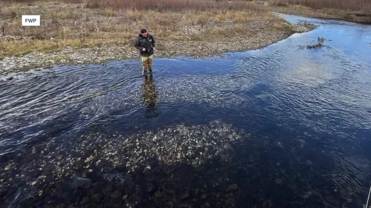 Poster image (11).jpg