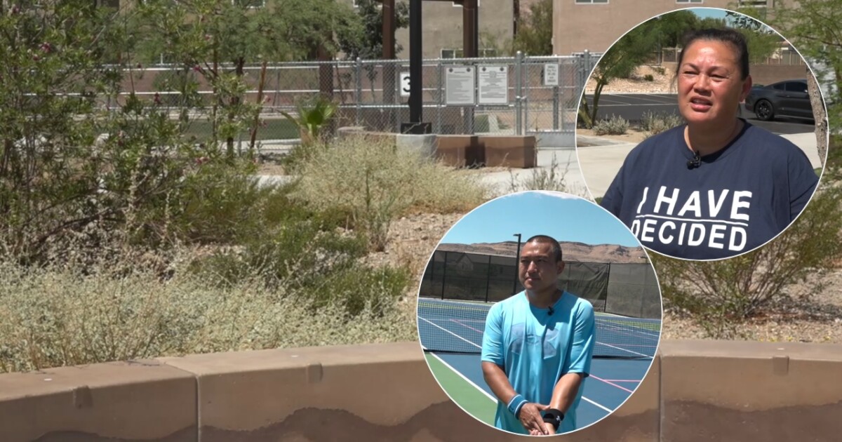 Lt. Erik Lloyd Memorial Park landscaping raises concerns among southwest Las Vegas residents