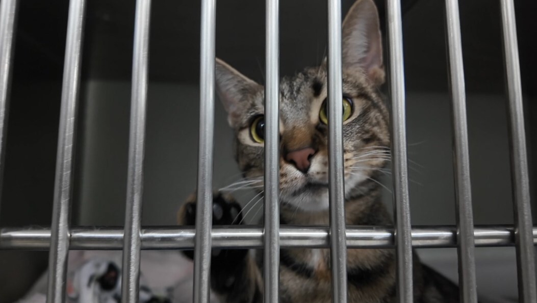 Screenshot 2025-12-03 183514.jpg