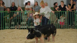 Buddy Barrow Show