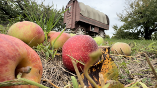 Metro Detroit apple orchards deep into fall picking season