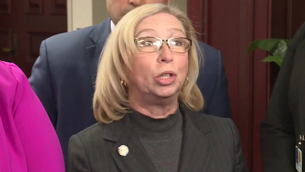 Rep. Kelly Skidmore speaks about abortion bill