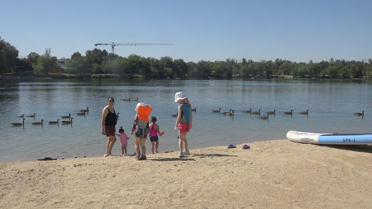 It's also a popular place for geese