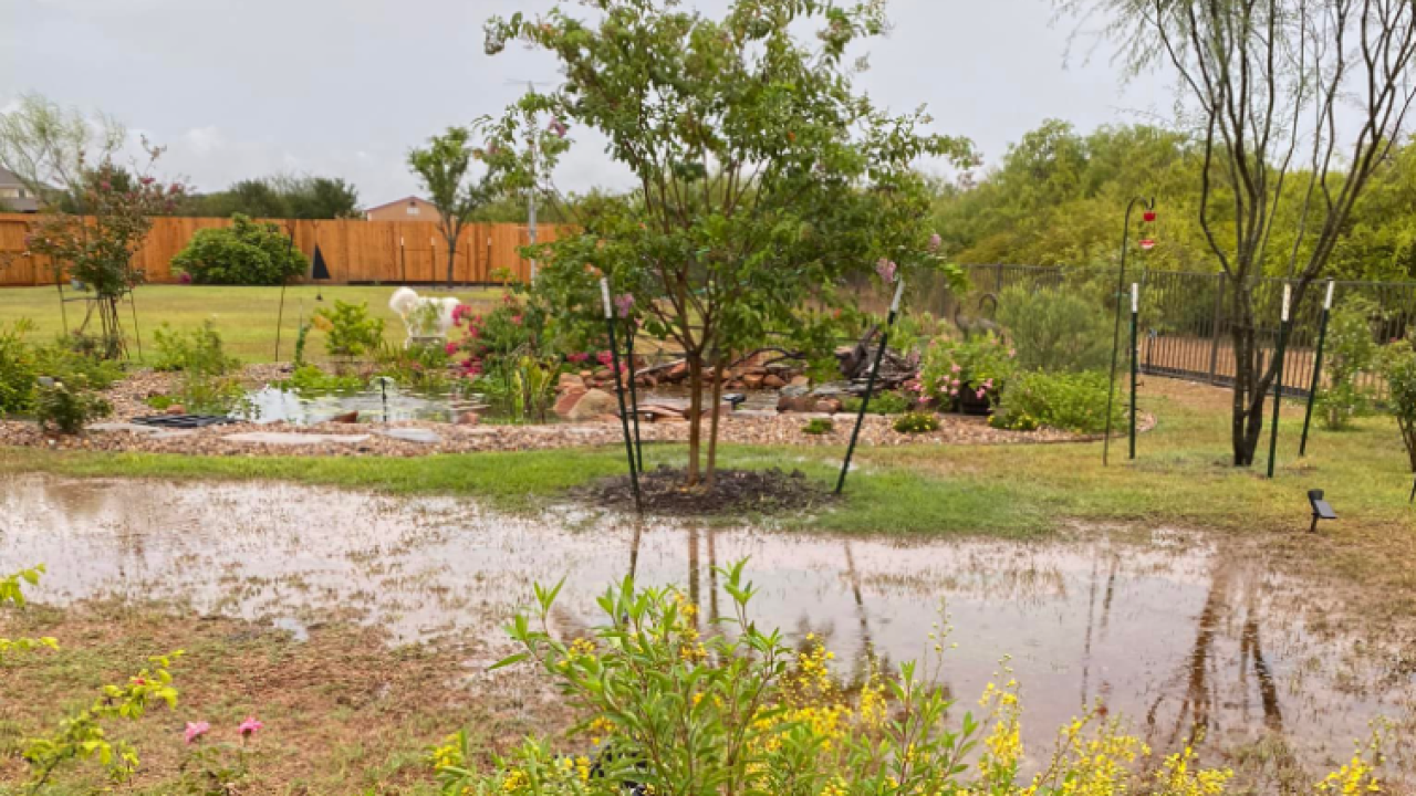 Rainfall arrives in South Texas - Photo By: FB Coastal Bend Weather Watcher Dusty Ayala