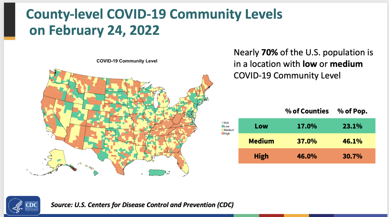 Screen Shot 2022-02-25 at 12.07.02 PM.png