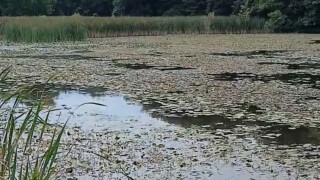 Tarsney Lake