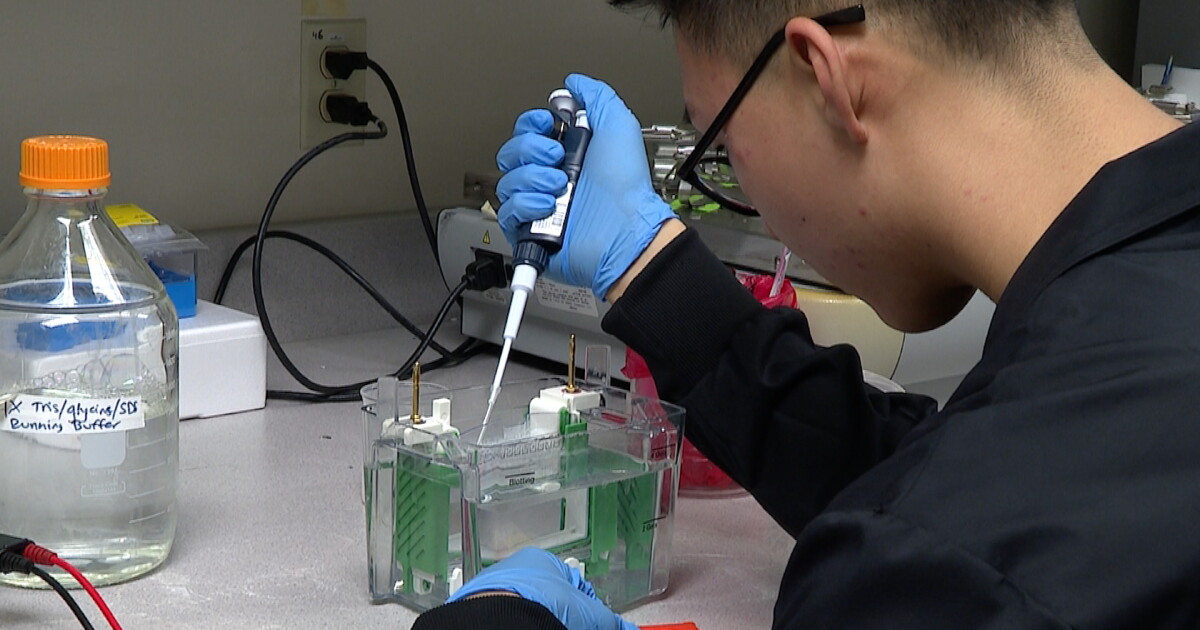 Air Force Academy cadets honored for Lyme disease early detection patch idea - Vimarsana News