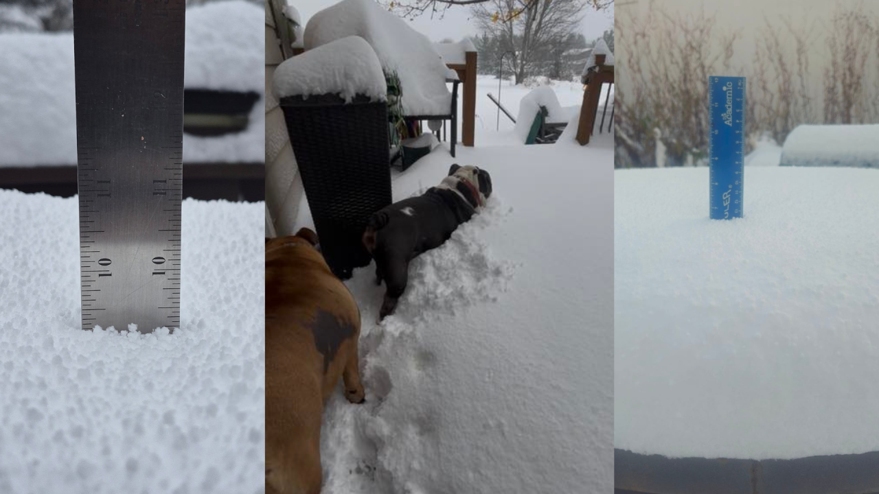 Untitled design (37).png