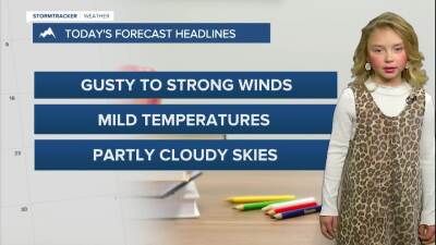 Lily Weather Rookie 11-6-25