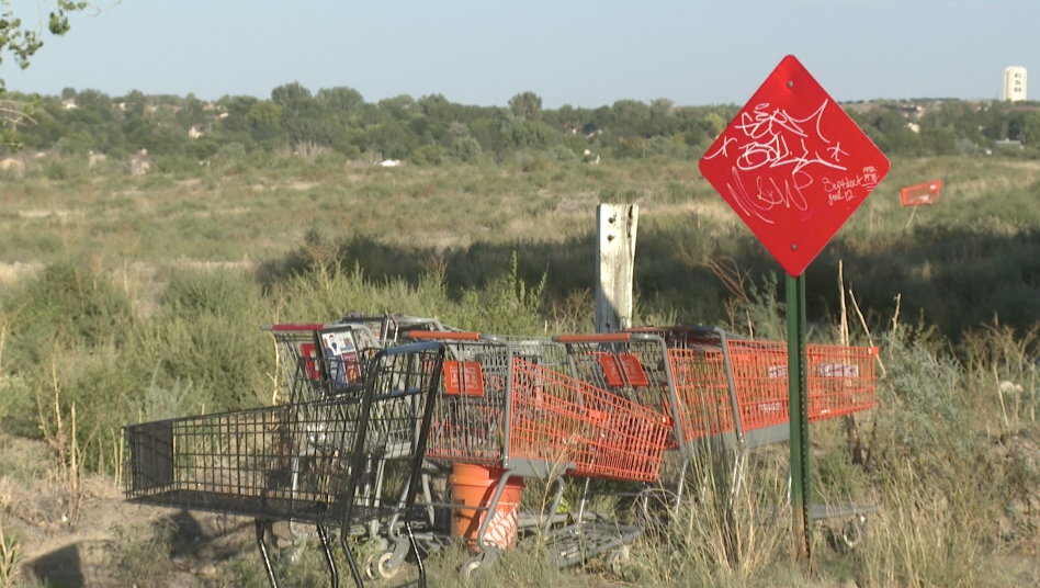 Pueblo Shopping Carts