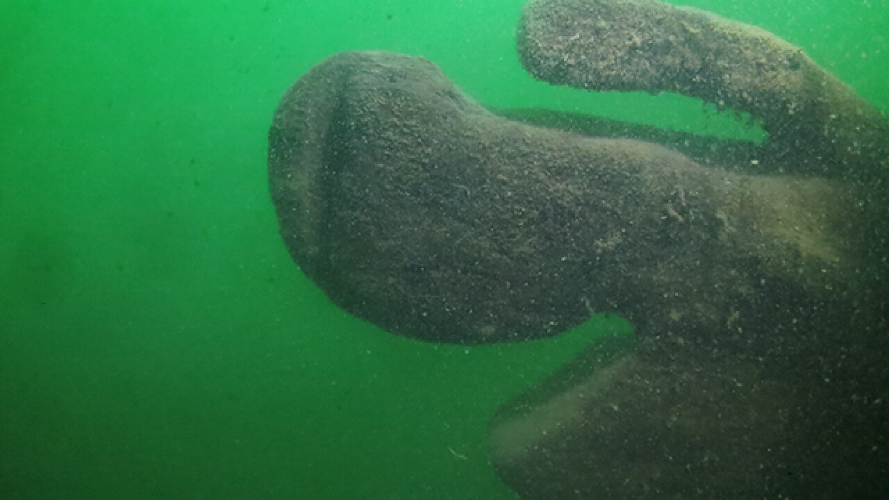 Shipwreck may be oldest found in Lake Erie