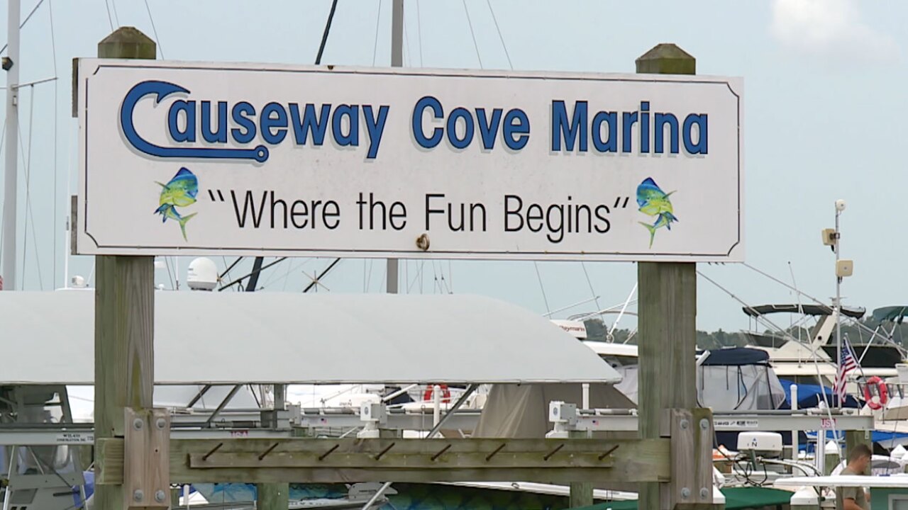 Causeway Cove Marina 