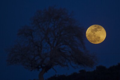 Rare blue moon to light up sky on Halloween