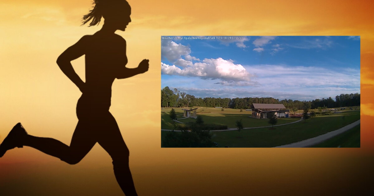 Florida State cross country teams will compete at Apalachee Regional Park Friday - Vimarsana News