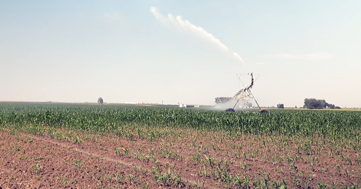 Severe drought forces longtime Northern Colorado farmer to cut barley production in half