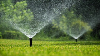 watering-yard