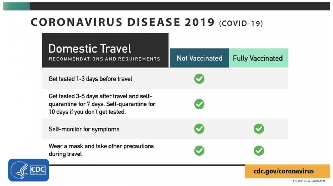 Domestic travel infographic.png