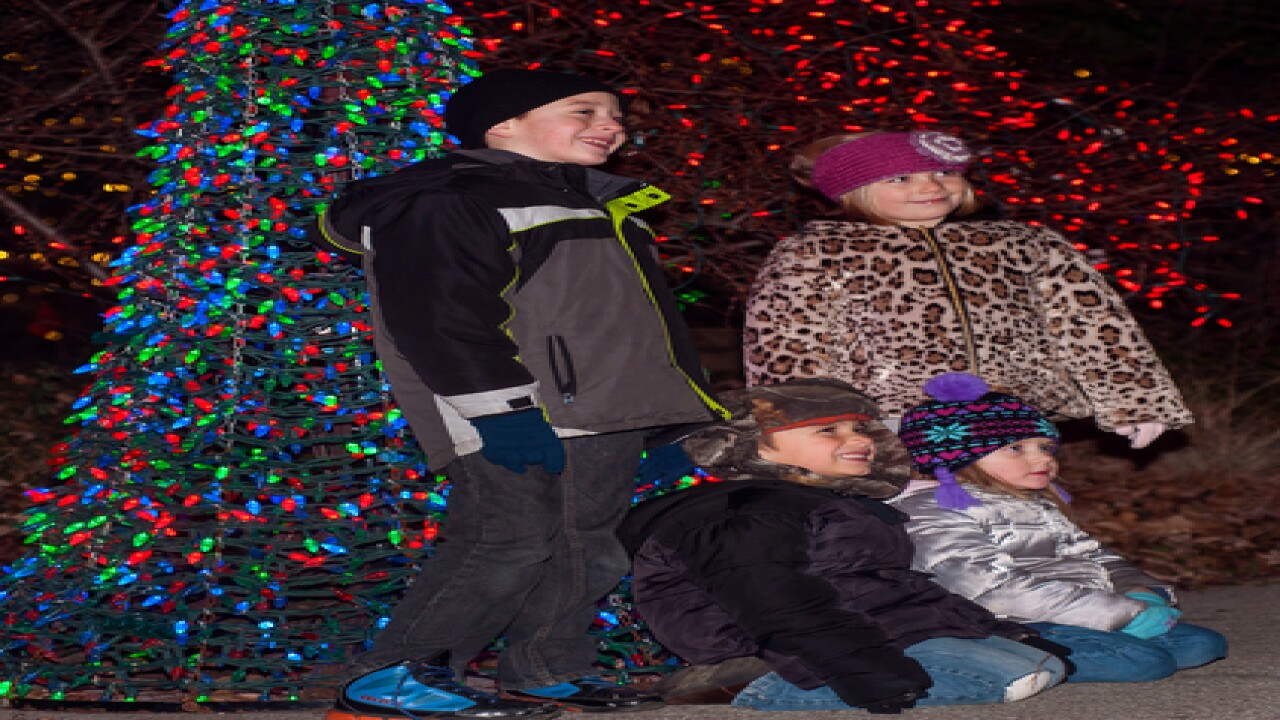 PHOTOS: Christmas at the Zoo