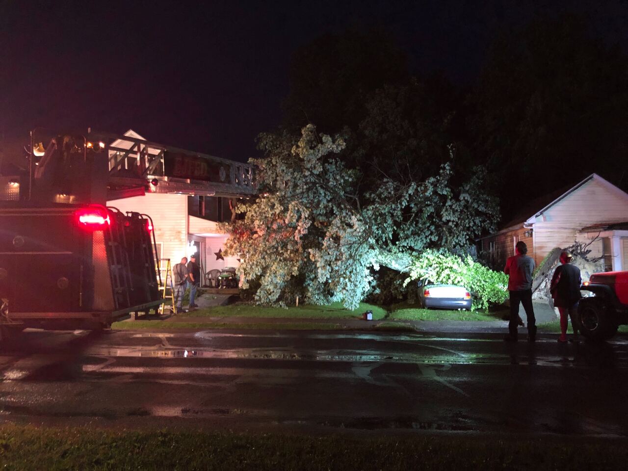Tree into house, car in Sardinia