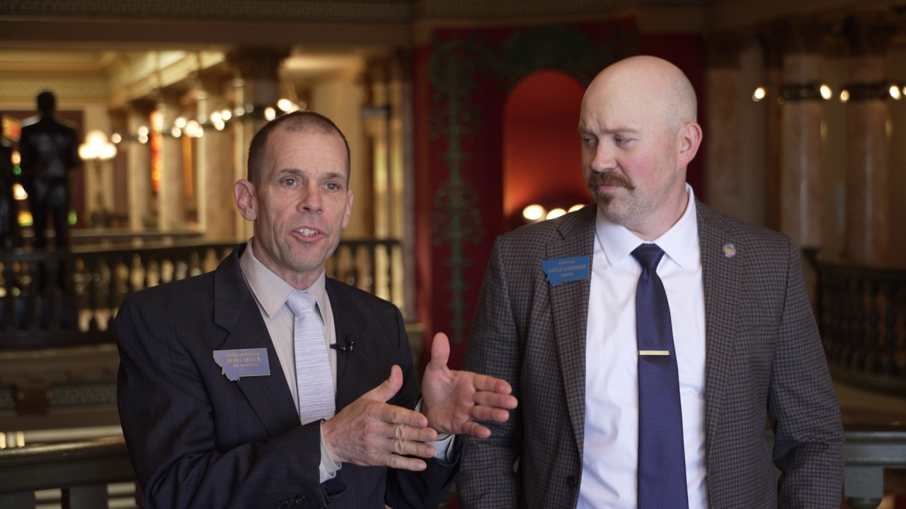 Should Montana Public Service Commissioners be elected or appointed?