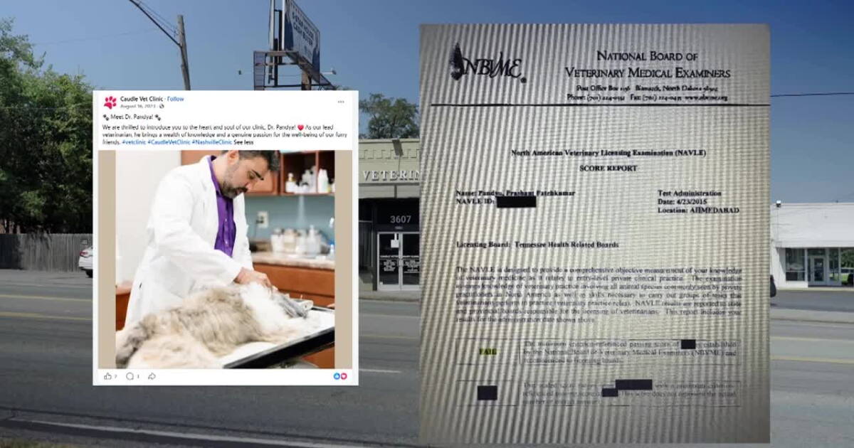 Nashville vet failed required licensing exam at least 10 times, records show