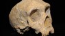 Like Humans, Neanderthals Buried Dead And Cared For Elderly