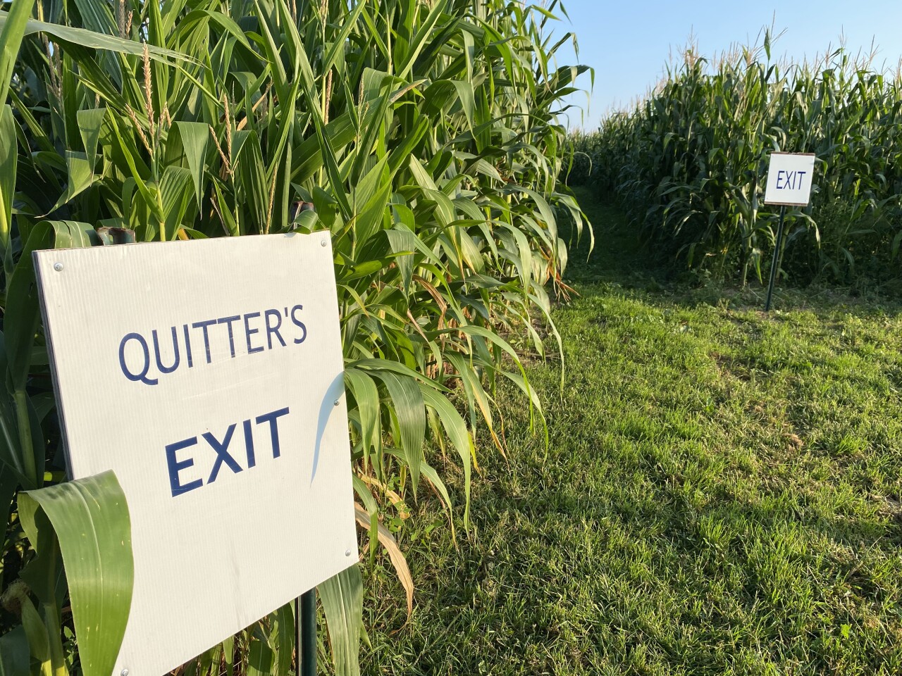 Robinette's pic 8.jpg