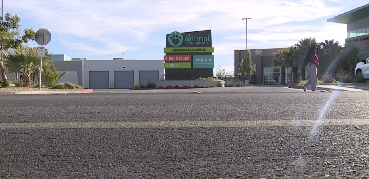 13 Investigates: The Animal Foundation