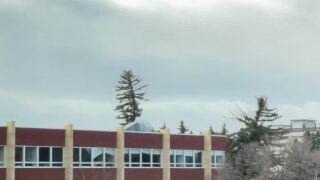 Poster image (2).jpg