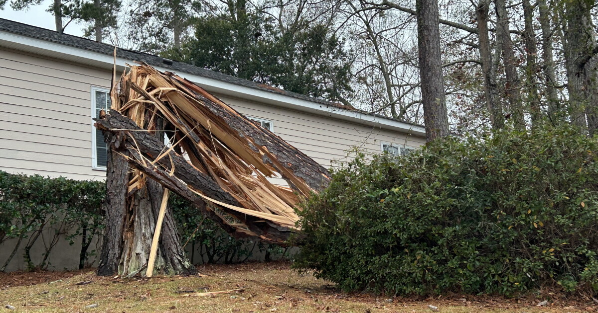 Tracking severe weather, outages and closings in Big Bend and South Georgia - Vimarsana News